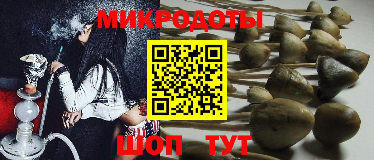 Галлюциногенные грибы Psilocybe  купить наркотики цена  Конаково  Вход с VPN  Галлюциногенные грибы прущие грибы 